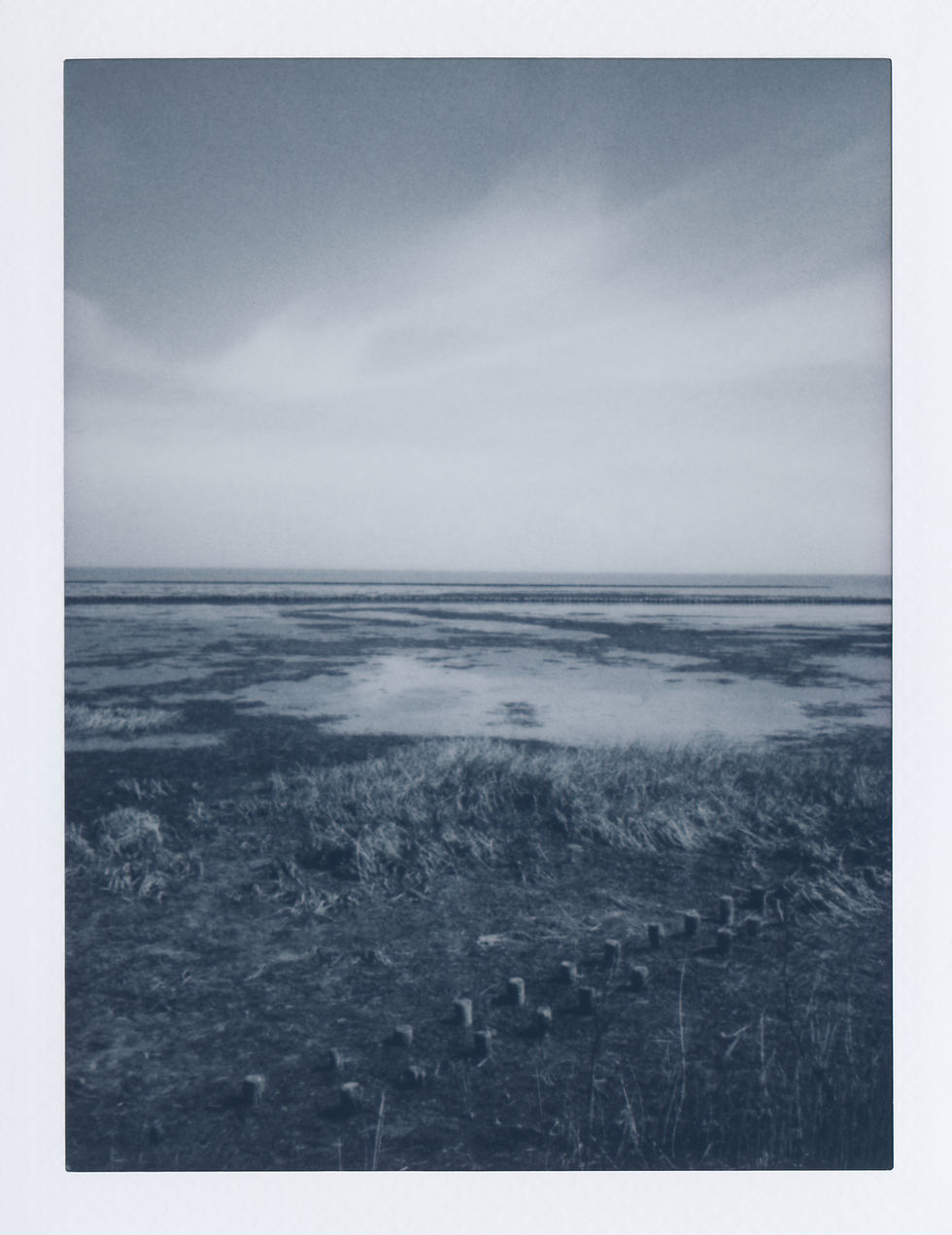 2025_Sylt_Munkmarsch_Wattenmeer_nördlich_des_Hindenburgdammes (1).jpg