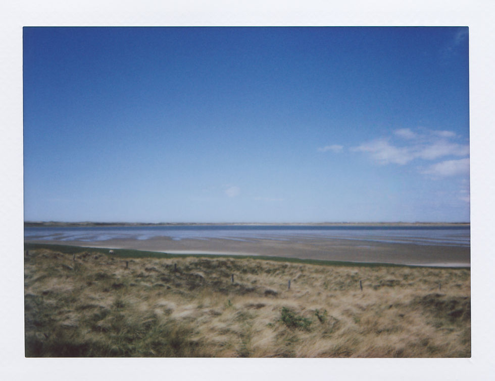 2025_Sylt_List_am_Deich (6).jpg