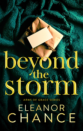 Beyond the Storm Cover.png