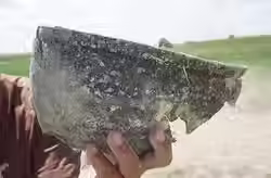 DSC01692 (גדול)_JPG