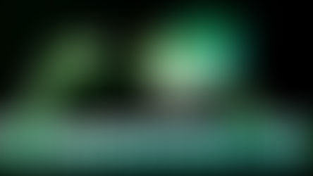 ))) EMPIRE: Programación 2026