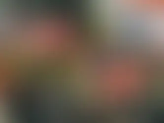 Trump Convicted! Act One is Done. What's Next?