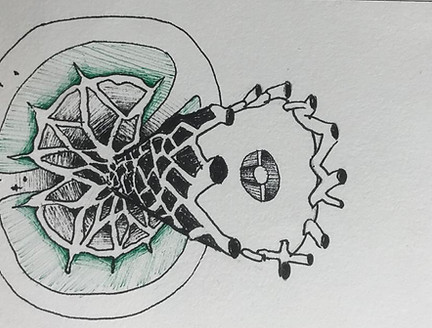 WhatsApp Image 2021-02-26 at 15.56.46 (5