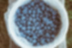 berries-blueberries-blurred-background-close-up-137597.jpg