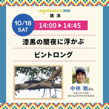 18日講演『漆黒の闇夜に浮かぶビントロング』