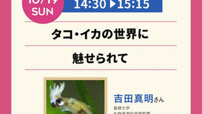 19日講演『タコ・イカの世界に魅せられて』