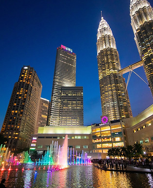Selangor pic for website.jpg