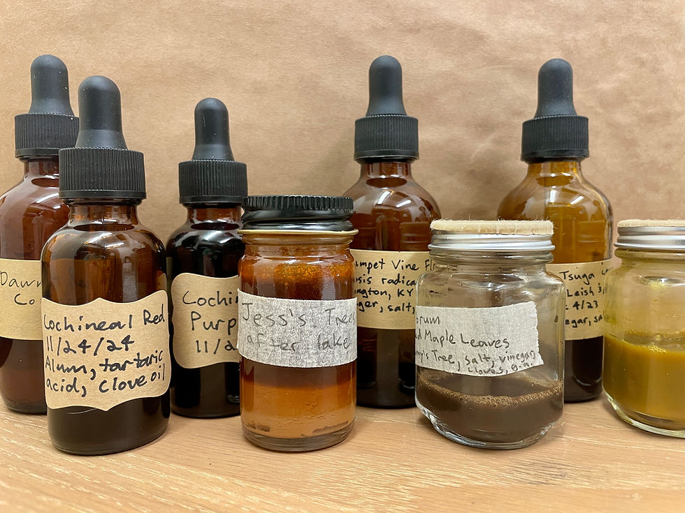 Harvesting Paints: Creating Art from Northampton’s Landscape