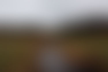 The Sexiest Conservation Project in Massachusetts