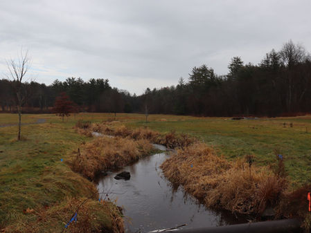 The Sexiest Conservation Project in Massachusetts