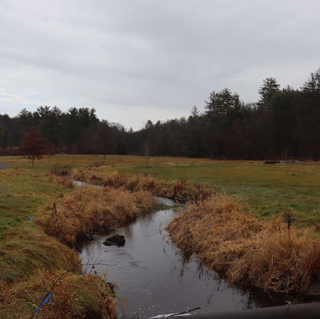 The Sexiest Conservation Project in Massachusetts
