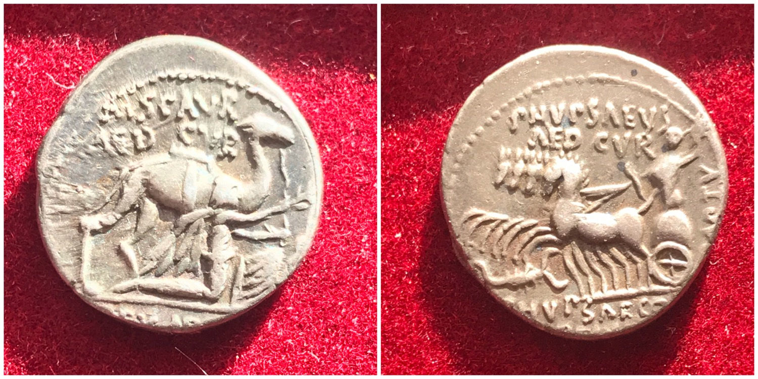 M Aemilius Scarus & Pub Plautius Hypsaeus Silver Denarius.