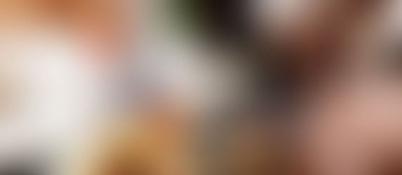 La Taverna Medievale conquista i clienti!!!