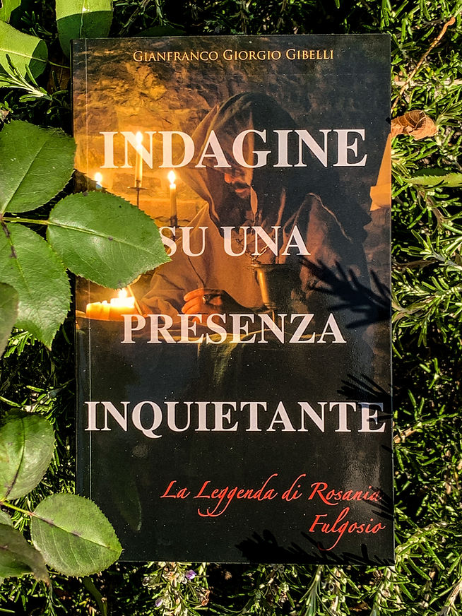 Indagine su una presenza inquietante.JPG