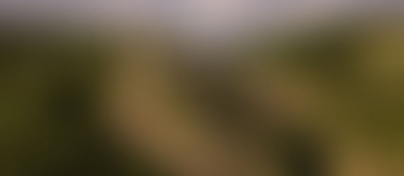 È ARRIVATA L’ESTATE! VIENI A RESPIRARE IN COLLINA