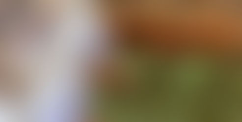 VIENI ALLA FESTA DELL'UVA DEL PARCO DELLE FIABE! NATURA, DIVERTIMENTO E AVVENTURE