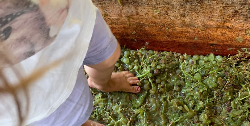 VIENI ALLA FESTA DELL'UVA DEL PARCO DELLE FIABE! NATURA, DIVERTIMENTO E AVVENTURE