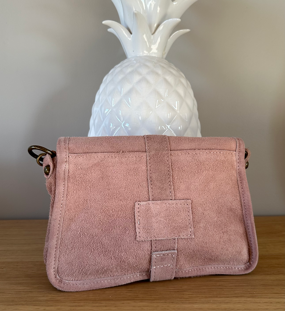 Miniature : Sac YSIA