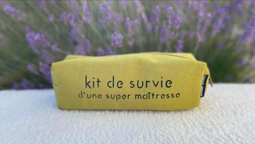 Miniature : Trousse KIT DE SURVUE D UNE SUPER MAITRESSE