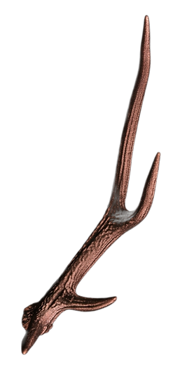 Gemini_Generated_Image_mxrxx2mxr_edited_