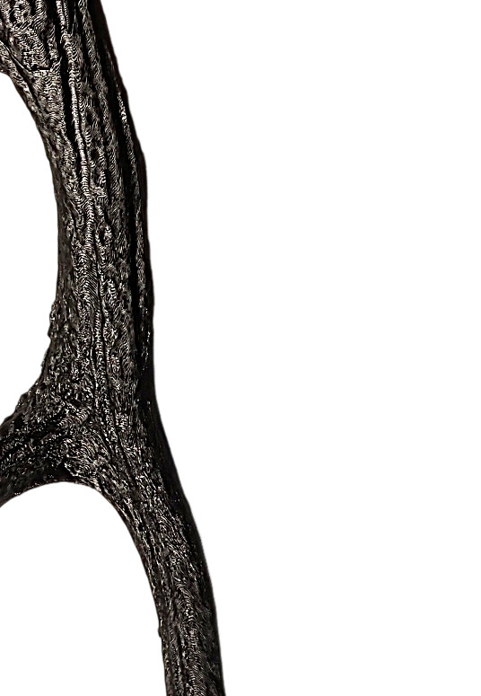 Bois de cerf n3_edited.jpg