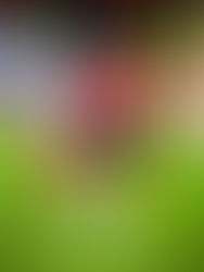 MUNICIPAL EMPATA EN CASA