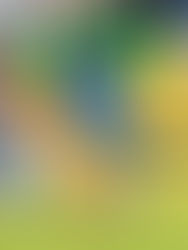 ¡MUNICIPAL ES GANADOR DE LA FASE DE CLASIFICACIÓN!