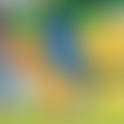 ¡MUNICIPAL ES GANADOR DE LA FASE DE CLASIFICACIÓN!