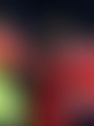 CON GOLEADA RUMBO A LA FINAL