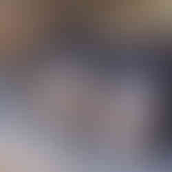 VanGo gray cargo bags in van