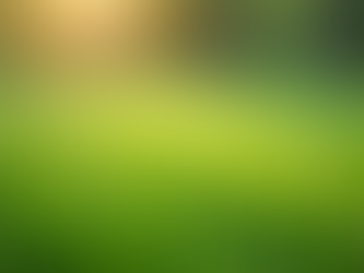 Get Your Lawn Summer-Ready with Elite Grass Cutz