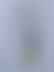 Domenica 19 aprile 2026: 42 ragazzi in festa per la cresima nella parrocchia di San Polo