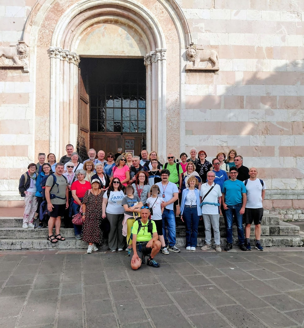 In cammino con San Francesco e San Carlo: il racconto del nostro pellegrinaggio ad Assisi