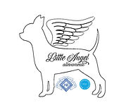 logo ufficiale del sito