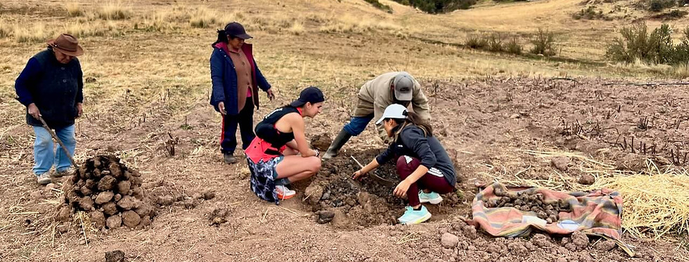 Discover the huatia in Cusco