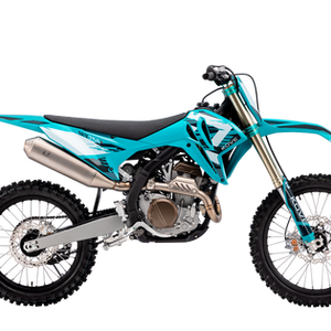 MX 250 R
