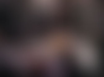 Mozart Complete Edition Torrent