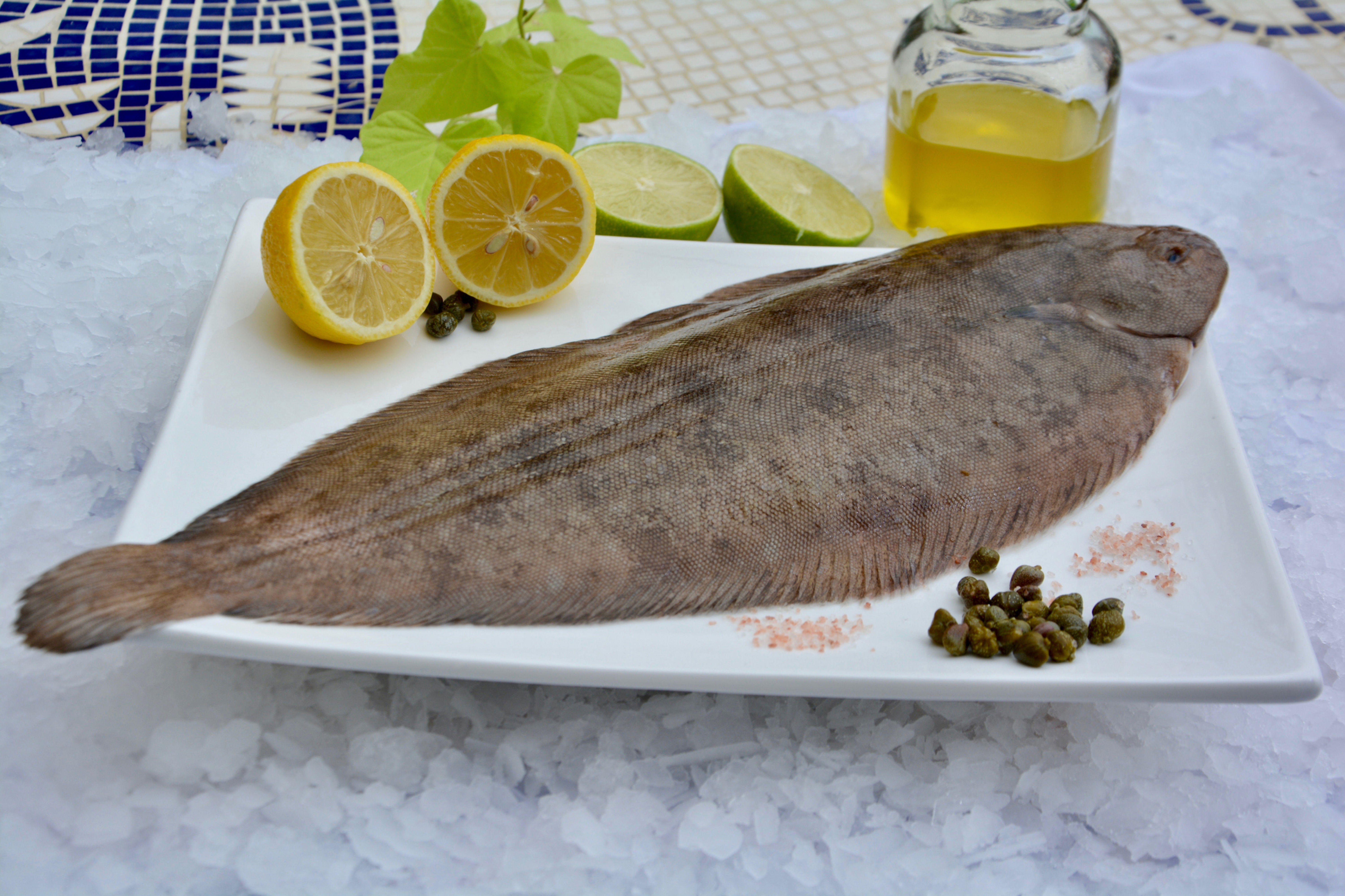 Wild European Dover Sole
