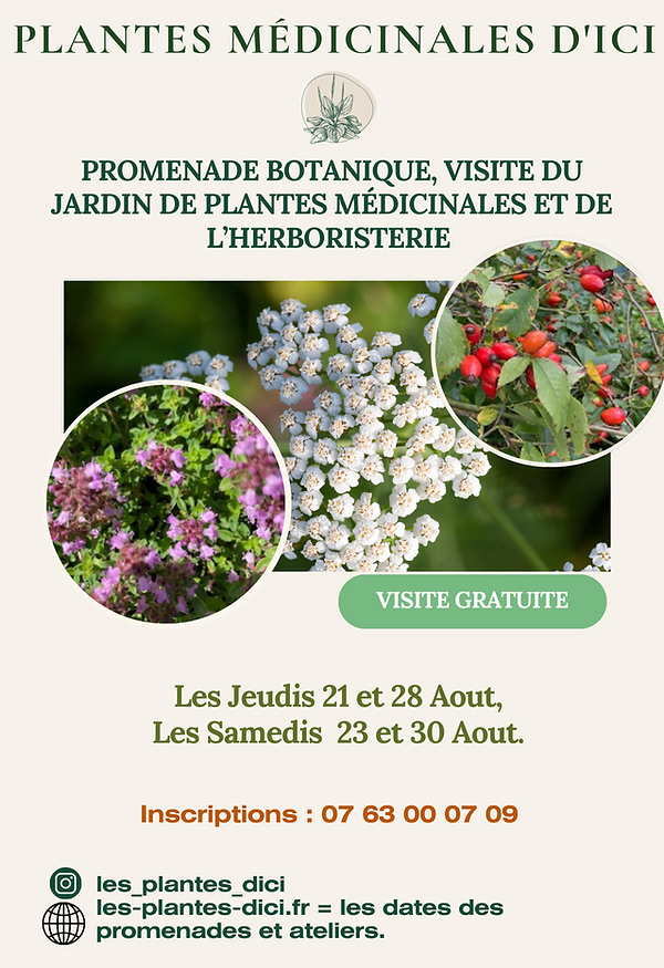 Promenades aout-25(1).png