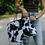Thumbnail: Cow print tote