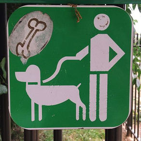 Differences, Drywall, and The Drunkard’s Dog