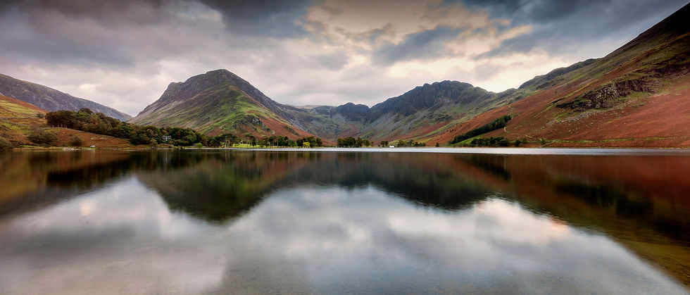 buttermere pines