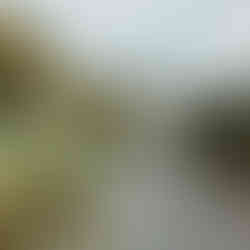 Views of everards farm