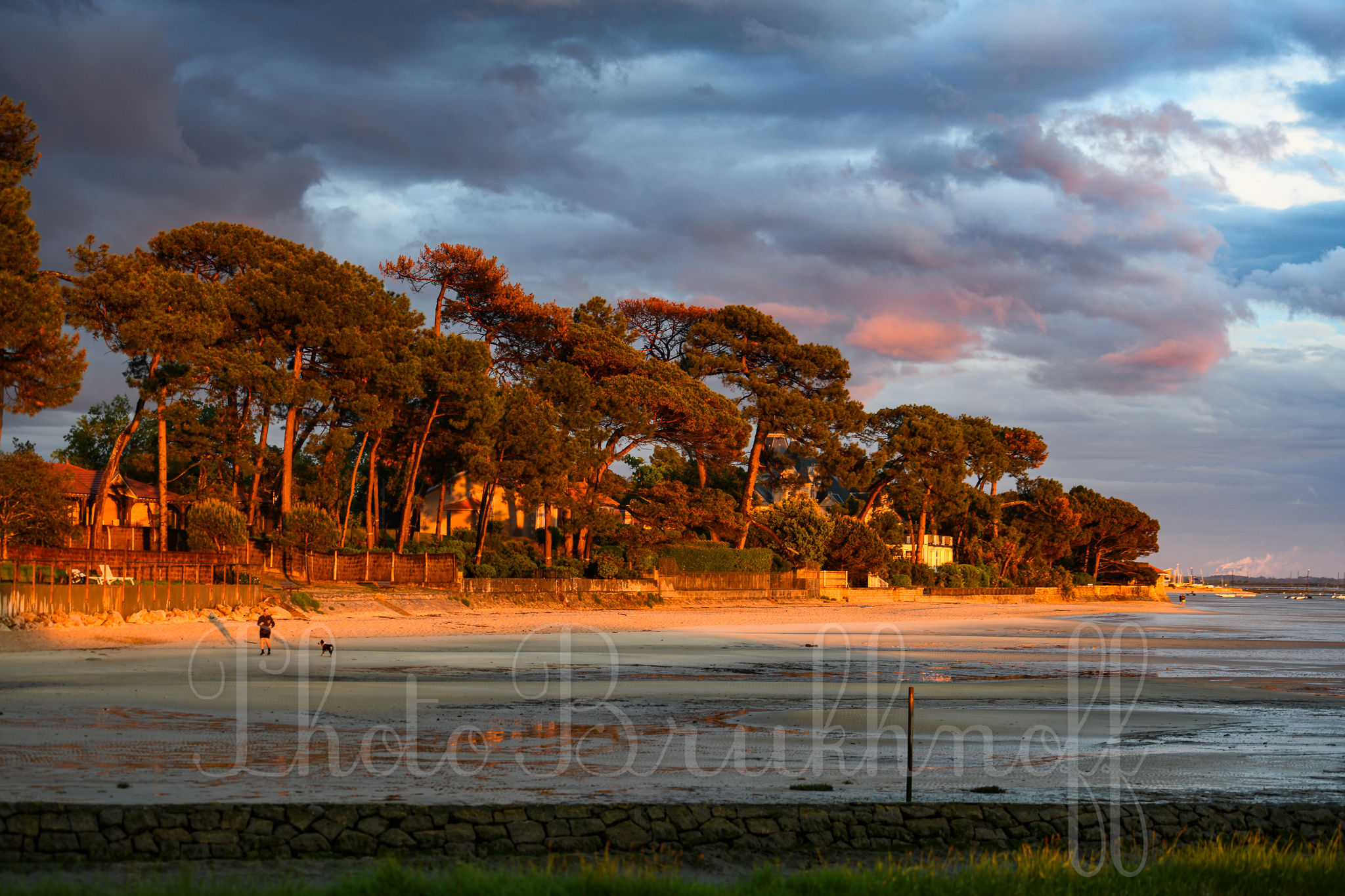 jogger et son chien plage Taussat  au coucher Arnaud Brukhnoff 2025