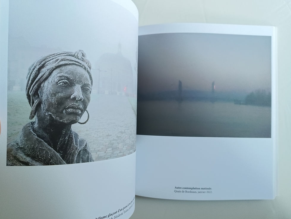 Miniature : Livre Bordeaux 2019-2023 Arnaud Brukhnoff