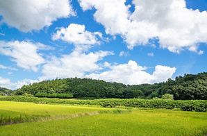 田園風景