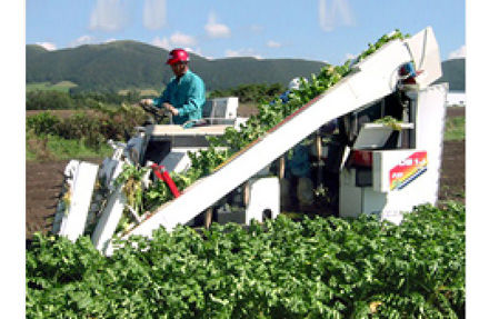 様々な種類の作物に対応