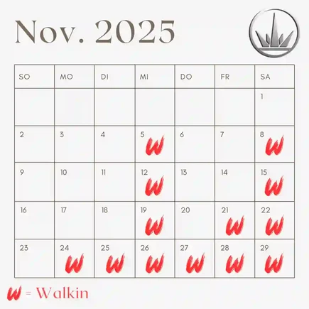 Tattoo Kalender Köln – Walk-In-Termine im November 2025 bei 6INK9 Tattoo Studio | Tattoo walk-in calendar Cologne November 2025
