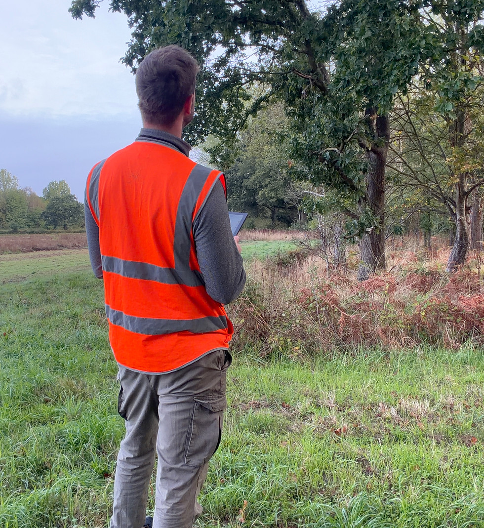 Arboricultural consultant carrying out a BS5837 tree survey