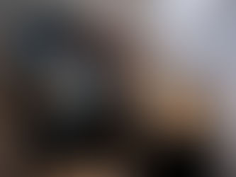 Sotto la pelle del drago di Manuela Troilo